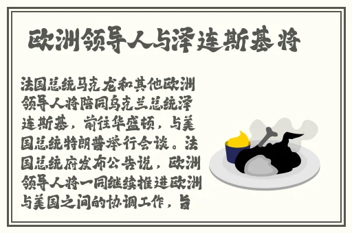 猫爪影像寻小小下载
